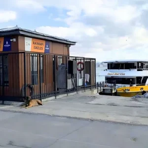 Bosphorus cruise pier